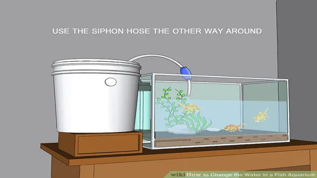 how to change fish aquarium water