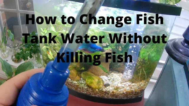 how to change fish water in aquarium