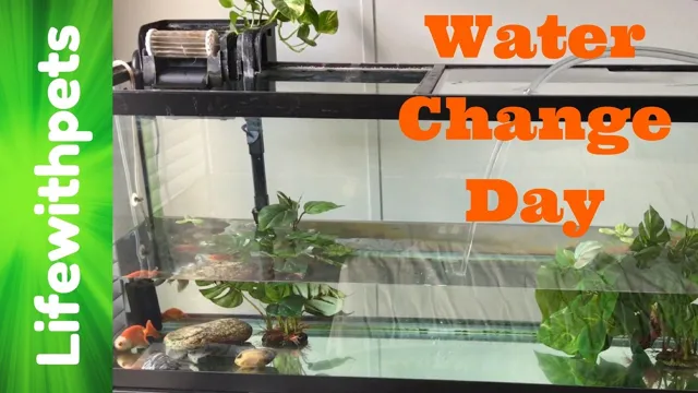 how to change goldfish aquarium water