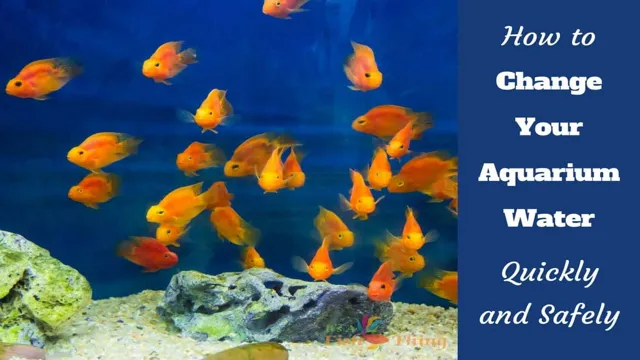 How to Change Goldfish Aquarium Water: Step-by-Step Guide for a Healthy Tank