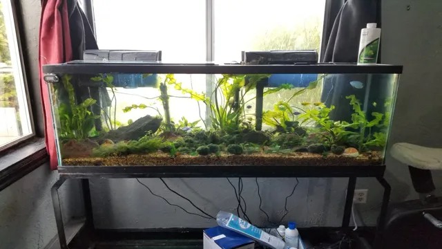 how to change out substrate in aquarium