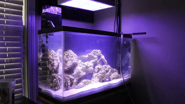 How to Change Water in Marine Aquarium: A Step-by-Step Guide for Beginners