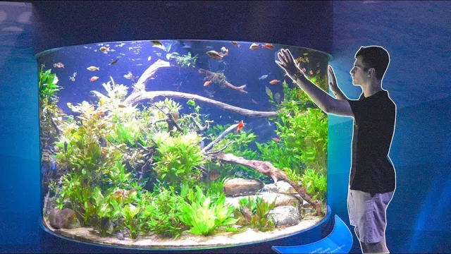 how to change windowed resolution insane aquarium