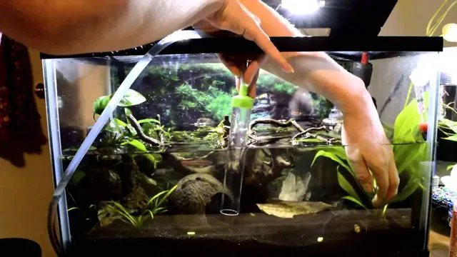 how to change your fish's water in the aquarium