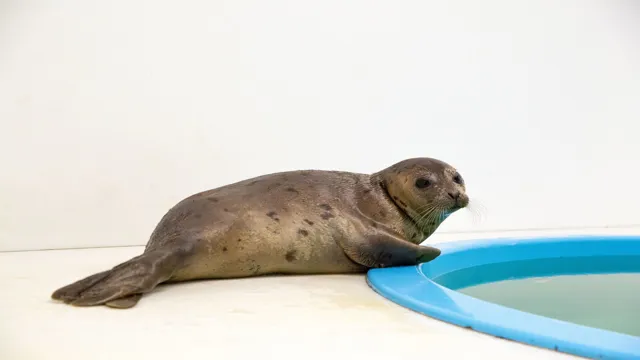 how to check aquarium seals