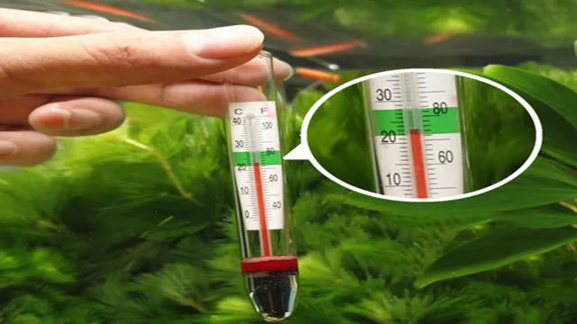 how to check aquarium temperature without thermometer