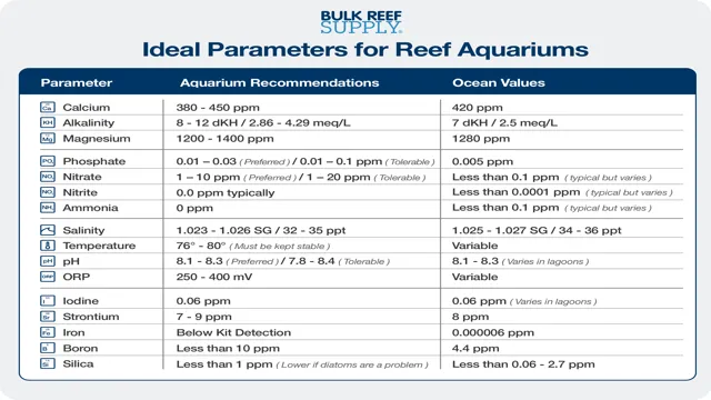 How to Check Aquarium Water Parameters: A Step-by-Step Guide for Healthy…