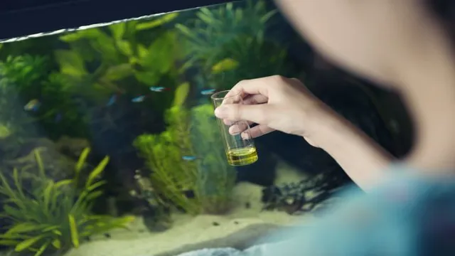 how to check aquarium water quality