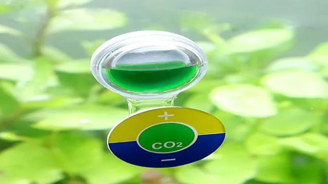 How to Check CO2 Level in Aquarium: A Step-by-Step Guide for Optimal Health of Aquatic Plants