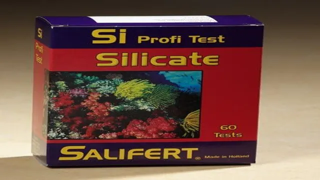 How to Check for Silicates in Aquarium: Tips for Accurate Detection and Prevention