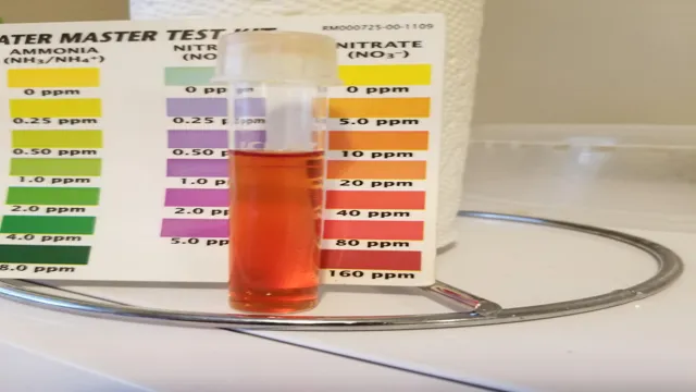 How to Check Nitrate Levels in Aquarium: A Comprehensive Guide for Aquarists