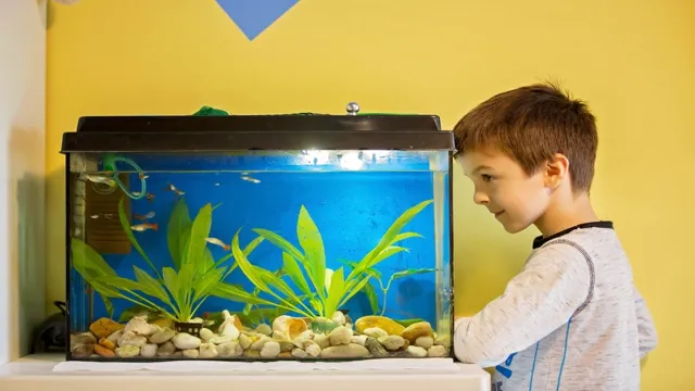 How To Check PAR Aquarium for Optimum Lighting: Tips and Tricks