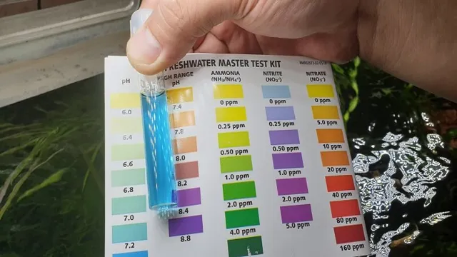 How to Check pH Levels in Aquarium: A Beginner’s Guide to Balancing Water Quality