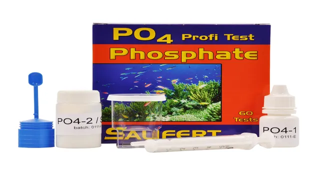 How to Check Phosphate Level in Aquarium: A Comprehensive Guide for Healthy Fish Tanks