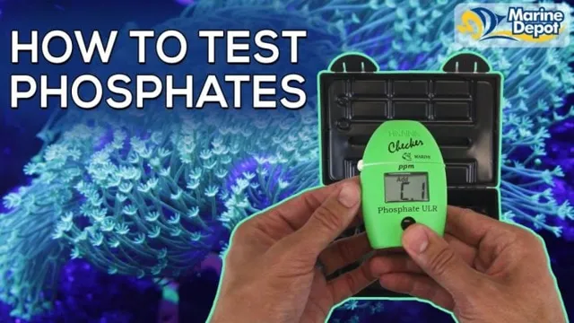 how to check phosphates in aquarium