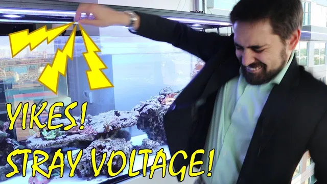 How to Check Stray Voltage in Aquarium: A Comprehensive Guide