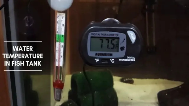 how to check temperature of aquarium