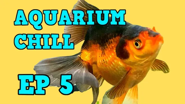 How to Chill Aquarium for Goldfish: Essential Tips for Keeping Your Fish Happy and Healthy in Hot Weather