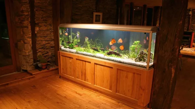 how to choose a fish type for first aquarium