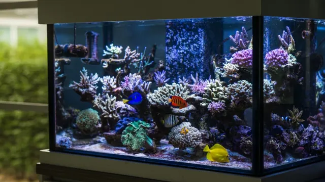 how to choose a saltwater aquarium