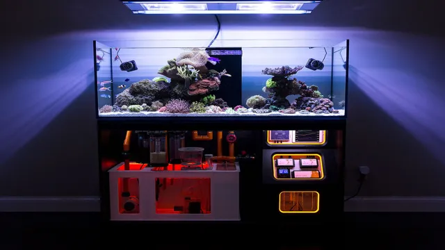 How to Choose a Saltwater Aquarium: Tips for Finding the Perfect Setup