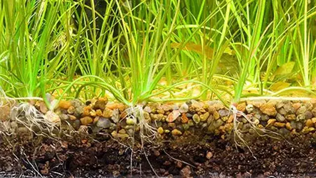 how to choose an aquarium soil