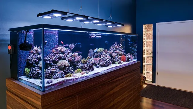 how to choose aquarium lighting