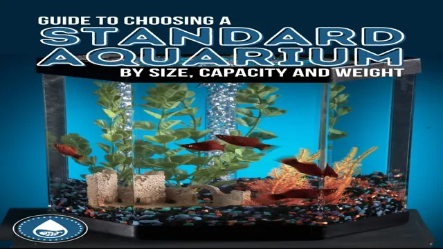 how to choose aquarium size