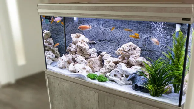 how to choose fish for an aquarium
