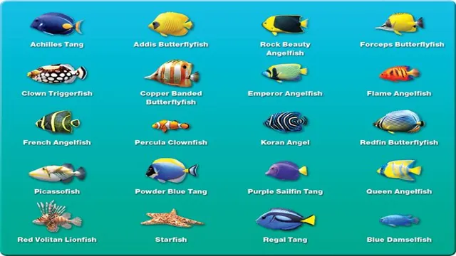 how to choose fish for your aquarium