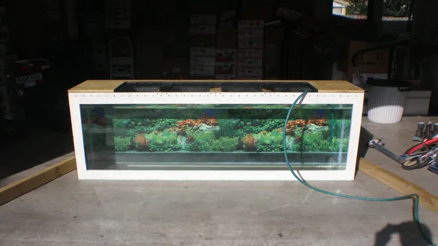 how to choose glass for a plywood aquarium