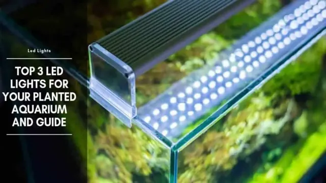 how to choose led aquarium light for plant