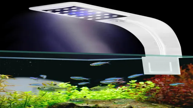 How to Choose LED Aquarium Light for Plant: Tips and Factors to Consider