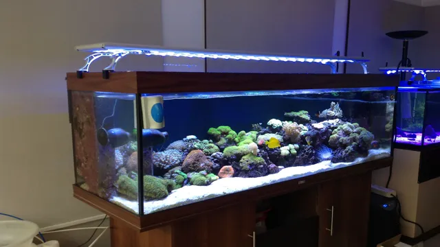 how to choose led lights for aquarium