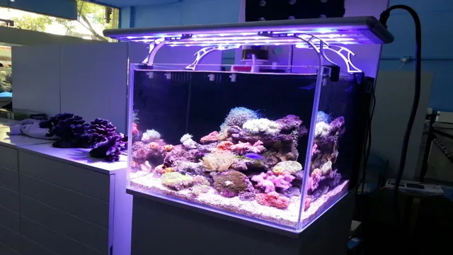 How to Choose LED Lights for Aquarium: Tips and Tricks for Optimal Lighting Solutions