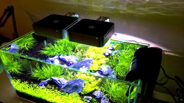 How to Choose LED Planted Aquarium Light for Optimal Growth and Health