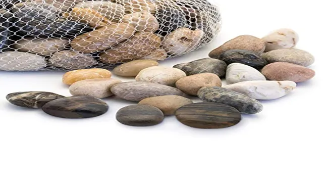 How to Choose Safe Rocks for Aquarium: A Complete Guide for Beginners