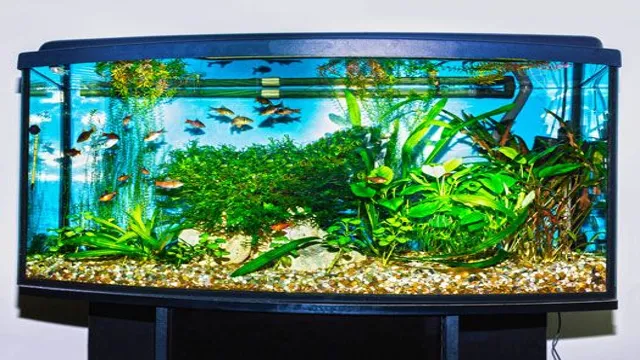 how to choose substrate for aquarium