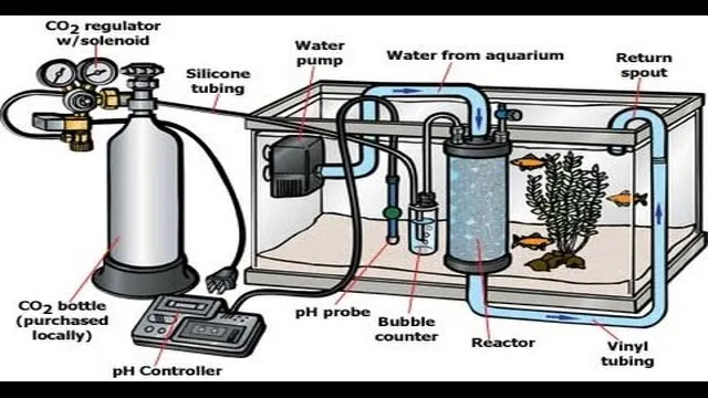 How to Circulate CO2 in Aquarium: Tips for Efficient Carbon Dioxide Distribution