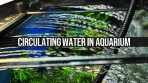 how to circulate water in aquarium