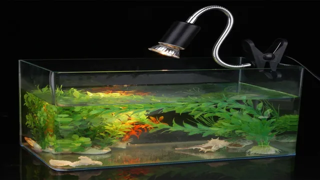 how to clamp light to aquarium