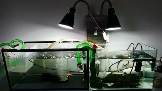 How to Clamp Light to Aquarium: A Step-by-Step Guide for Novice Aquarists