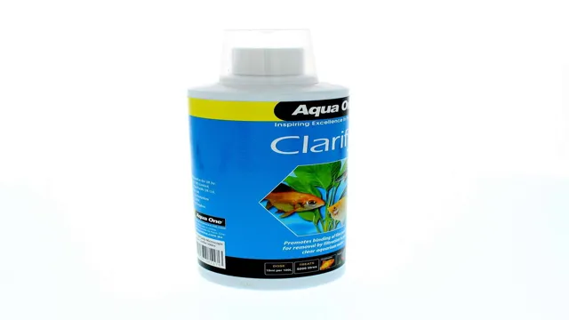 How to Clarify Aquarium Water Surface: The Ultimate Guide for Clearer and Healthier Water