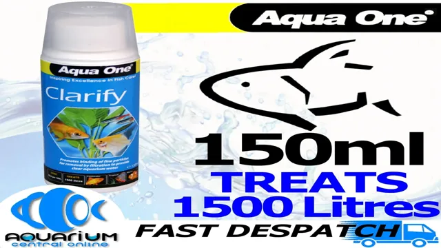 how to clarify the water of your aquarium