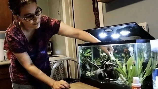 how to clean a 10 gallon fish aquarium