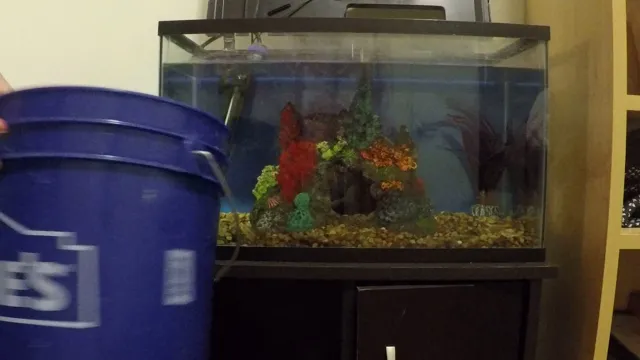 how to clean a 10 gallon freshwater aquarium tank