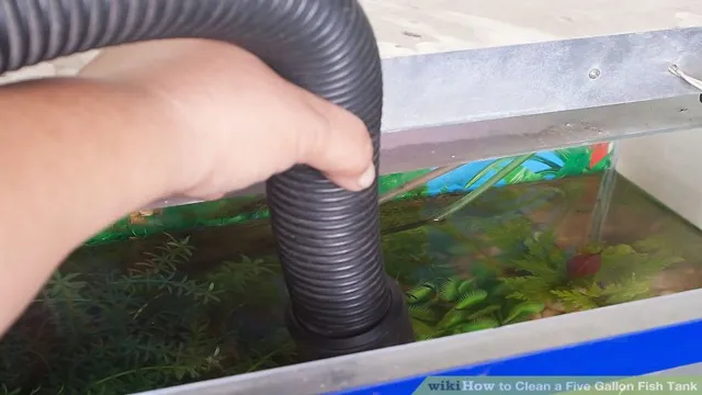 How to Clean a 5 Gallon Aquarium: A Complete Step-by-Step Guide