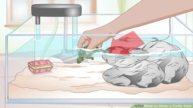 How to Clean a Aquarium Without Harming Turtle: A Complete Guide