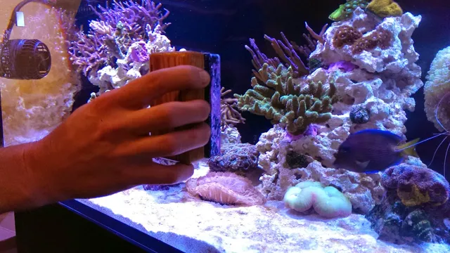 How to Clean a Dirty Saltwater Aquarium: Essential Tips and Tricks