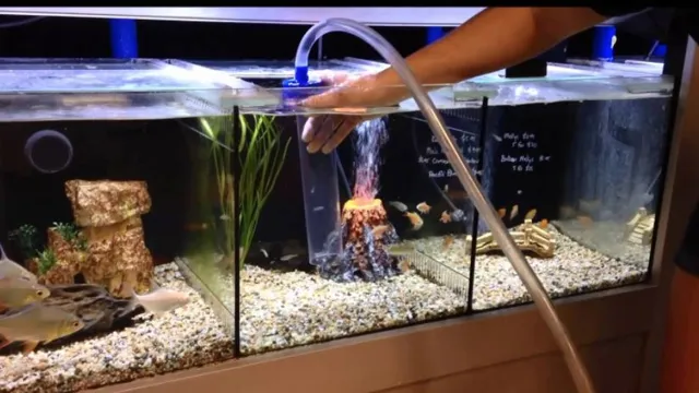 how to clean a fish aquarium from a garage sell